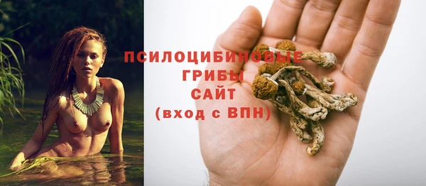 стафф Осташков