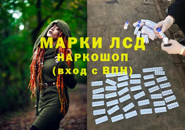 apvp Алзамай