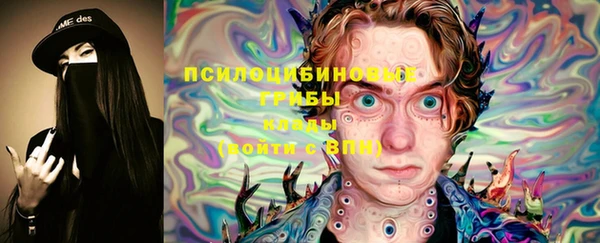 apvp Алзамай